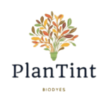 PlanTint l Start-up.ma