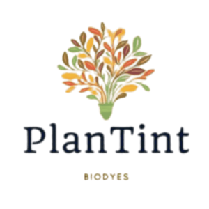 PlanTint l Start-up.ma